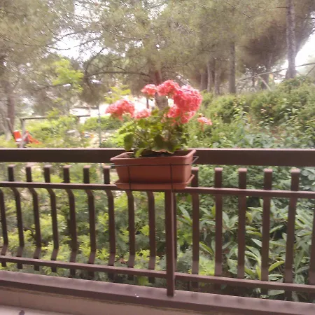 Freetime Apartment *
